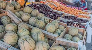 Marché provençal en Ardèche du sud